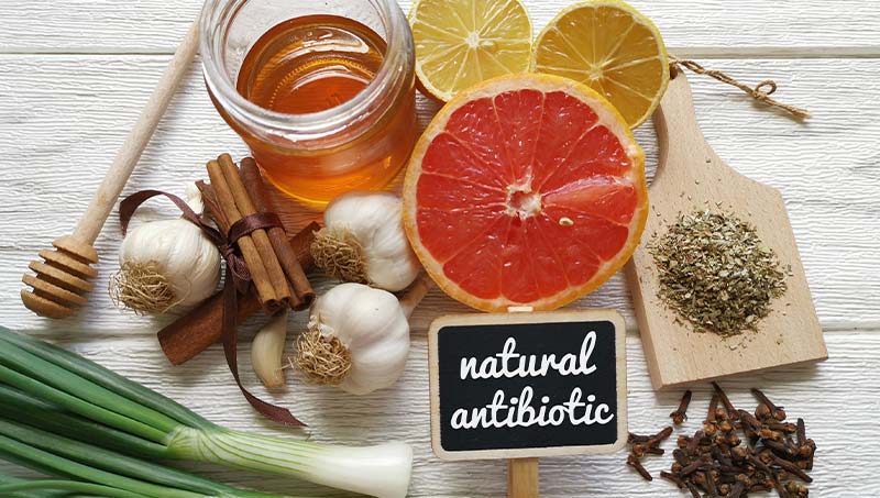a San Jose acupuncturist at Eternal Health & Wellness Acupuncture Center explains 11 natural antibiotics