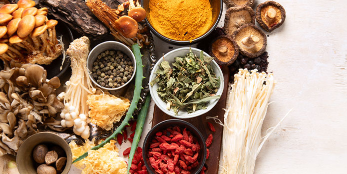 nutrition support in San Jose, CA